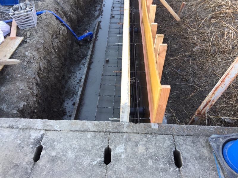 ���� �J�[�|�[�g �G�N�X�e���A ���� ����