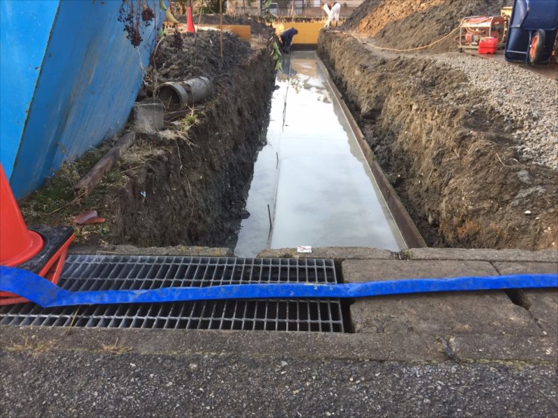 ���� �J�[�|�[�g �G�N�X�e���A ���� ����