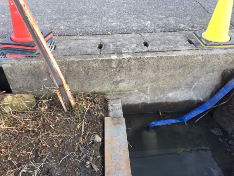 ���� �J�[�|�[�g �G�N�X�e���A ���� ����