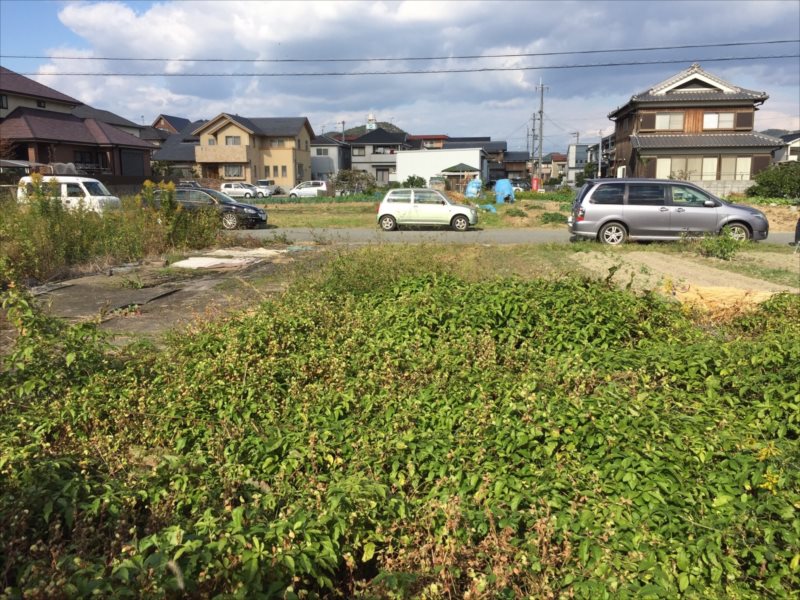 ���� �J�[�|�[�g �G�N�X�e���A ���� ����