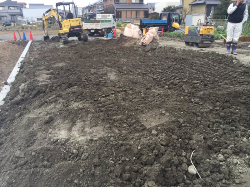 ���� �J�[�|�[�g �G�N�X�e���A ���� ����