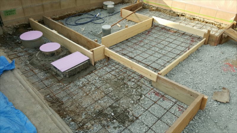 ���� �J�[�|�[�g �G�N�X�e���A ���� ����