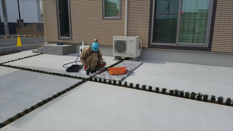 ���� �J�[�|�[�g �G�N�X�e���A ���� ����