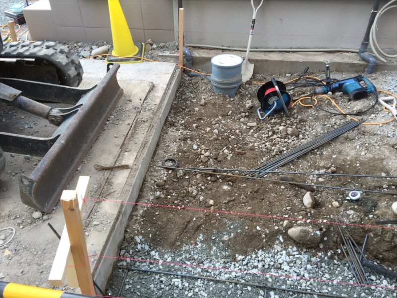 ���� �J�[�|�[�g �G�N�X�e���A ���� ����