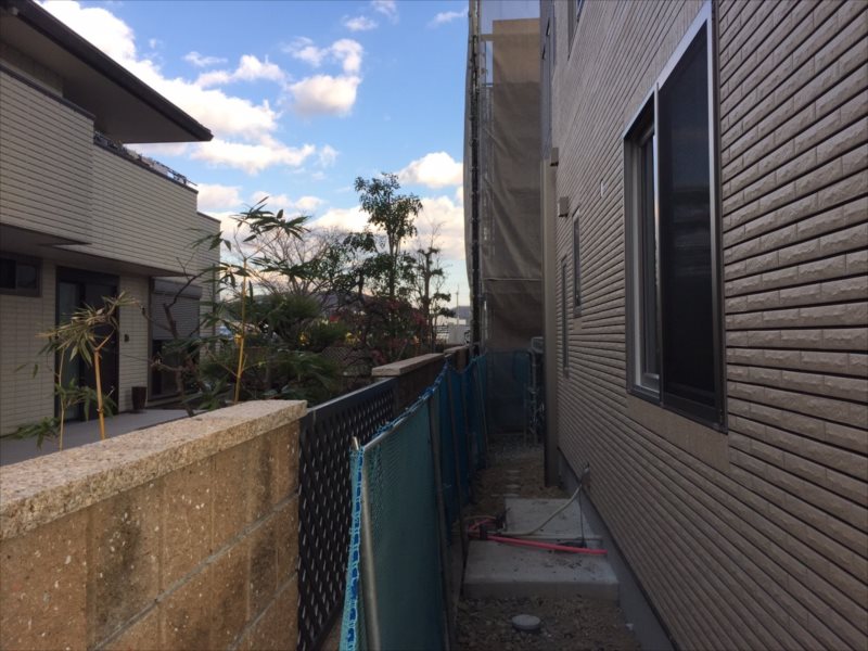 ���� �J�[�|�[�g �G�N�X�e���A ���� ����