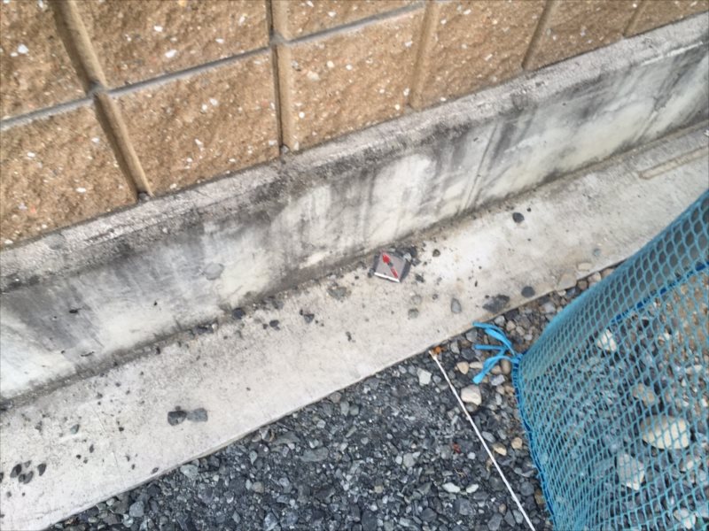 ���� �J�[�|�[�g �G�N�X�e���A ���� ����