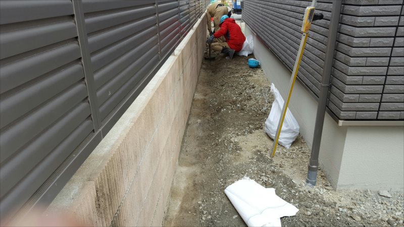 ���� �J�[�|�[�g �G�N�X�e���A ���� ����