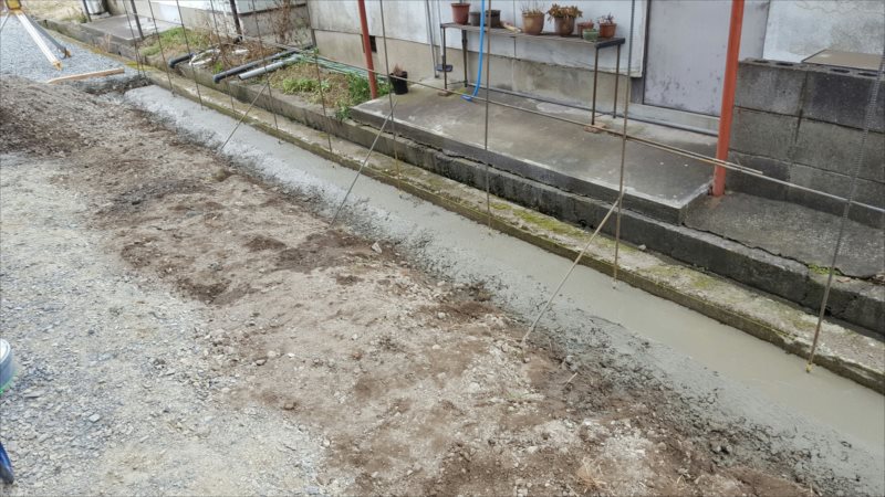 ���� �J�[�|�[�g �G�N�X�e���A ���� ����