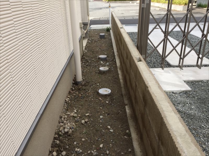 ���� �J�[�|�[�g �G�N�X�e���A ���� ����